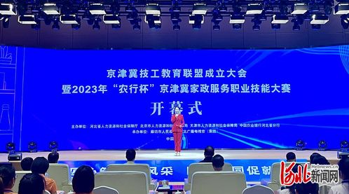 2023年農(nóng)行杯京津冀家政服務(wù)職業(yè)技能大賽 信息技術(shù)咨詢(xún)服務(wù)的創(chuàng)新應(yīng)用