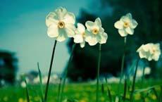 看病時醫生要螺絲刀和錘子