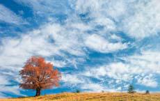 笑話大全樂翻天