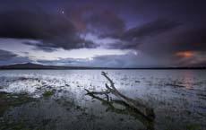 為什么做小偷？小偷：人們常說，男人掏錢的動作最迷人