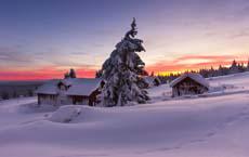 有一種冷是你媽覺得你冷