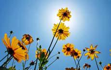 汽車售票員喜歡的奇妙香水