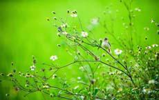 幽默笑話大全爆笑段子