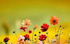 口吃說話結巴的搞笑段子