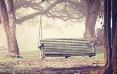 公牛可以讓你更快趕上火車