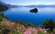 妻子老埋怨丈夫喝個半醉