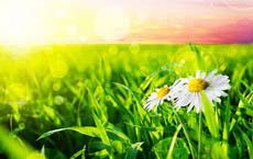 雙11電商購物節妻子的購物車