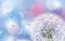 比趙本山搞笑100倍的笑話