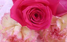 媳婦變胖再不鍛煉就抱不動了