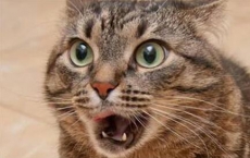 神奇的算命和男女一陣熱吻后