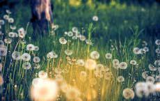 數學考試題目十分簡單