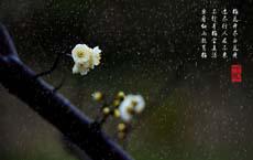 老師像點讀機(jī)專點不會的